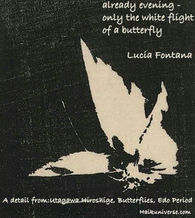 The White Flight