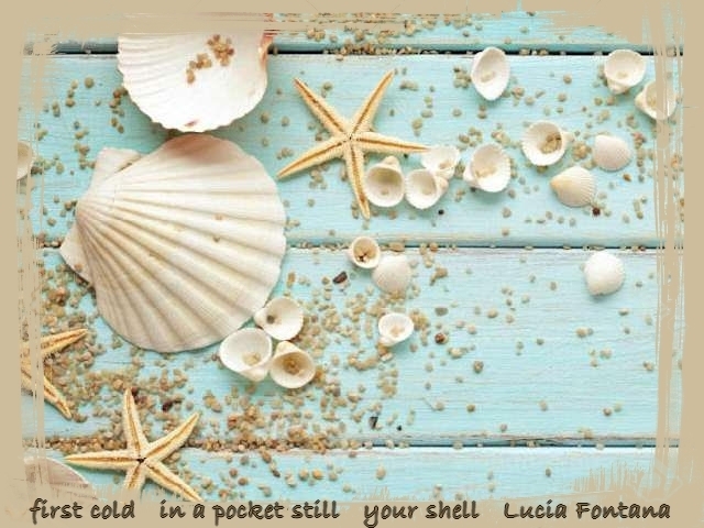 your shell