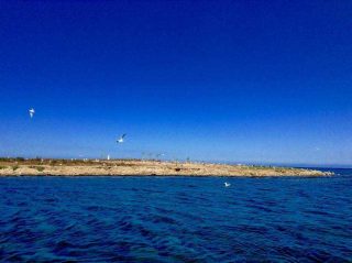 Cielo Mare Gabbiani